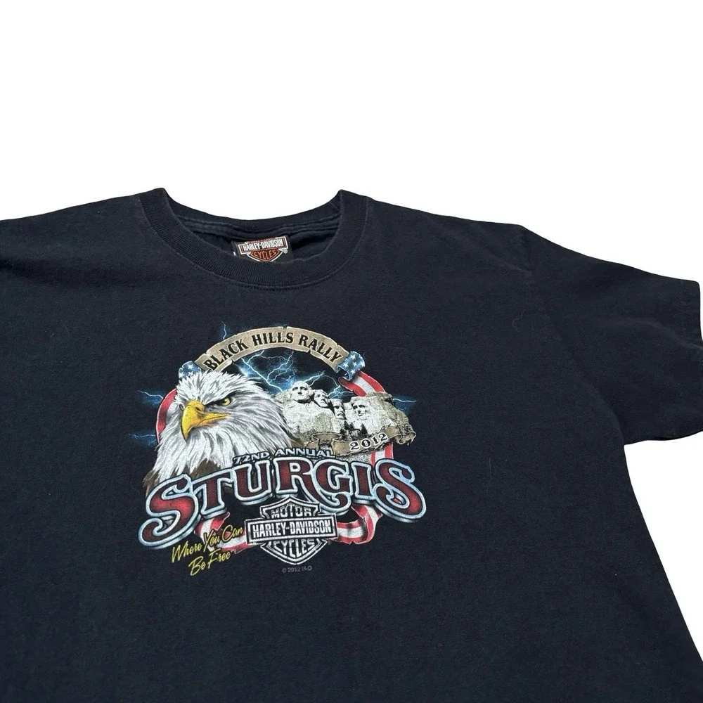 Harley Davidson Youth Boys Black Hills Rally 7nd Annual Sturgis T Shirt Sz Large